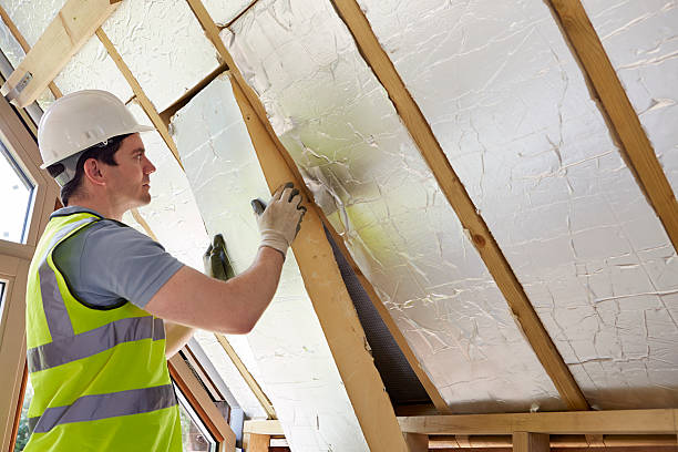 Best Insulation Installation Services in Bowdon, GA